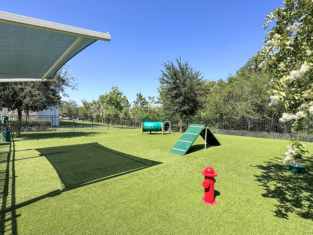 Fenced dog parks with agility equipment