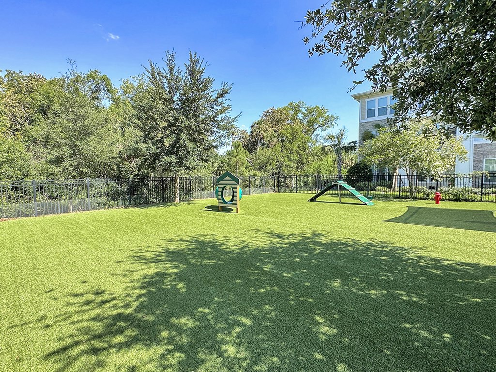 Fenced dog parks with agility equipment