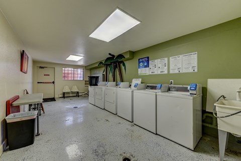 A clean, well-lit room with a white floor and green walls, containing a sink, a trash can, and a row of washing machines.
