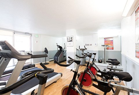 A gym with treadmills, exercise bikes and other equipment.