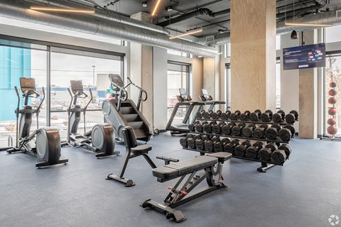 A gym with a variety of equipment including treadmills, stationary bikes, and weight racks.