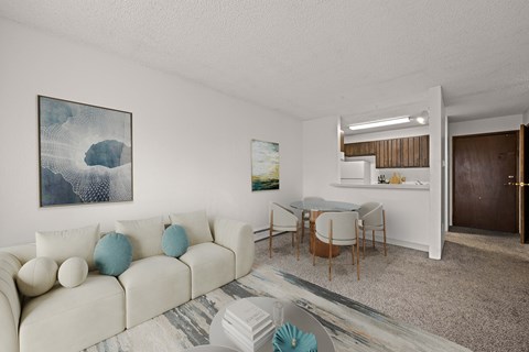 A living room with a white couch and a grey rug.
