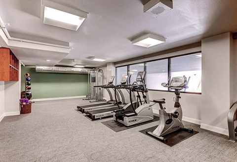 A gym with a green wall and a row of treadmills.