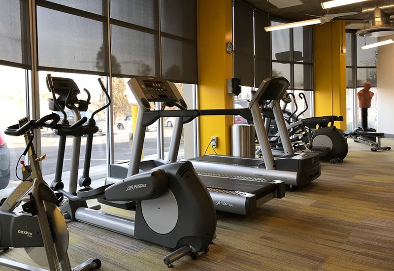 A gym with treadmills and elliptical machines.