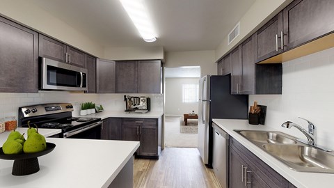 1531 Mt Lincoln Dr E 1-3 Beds Apartment for Rent