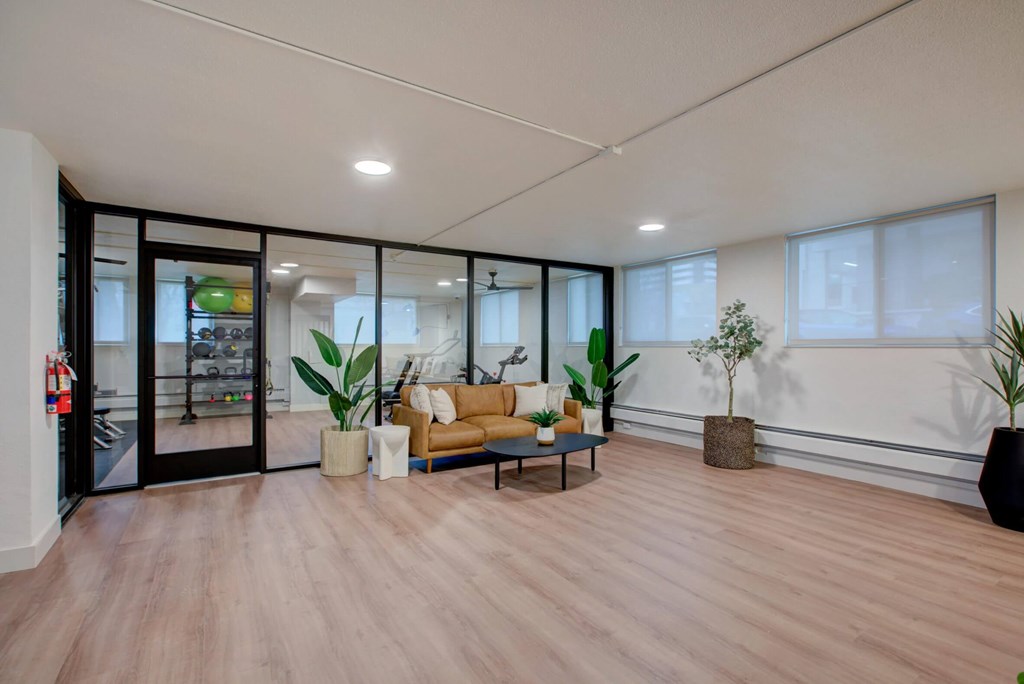 A living room with a couch, a coffee table, and a potted plant.