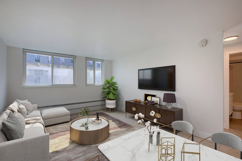 A living room with a grey couch, a coffee table, a flat screen TV, and a potted plant.