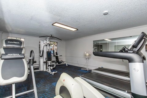 A gym with a treadmill, weights, and a mirror.