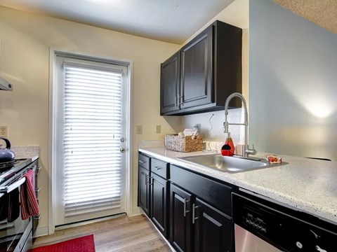A kitchen with black cabinets and a red rug on the floor.