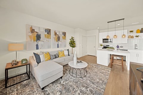 A living room with a grey couch, a coffee table, and a rug.