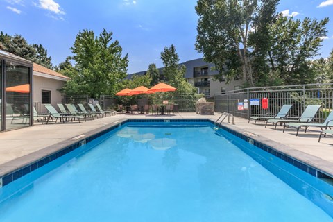 A swimming pool surrounded by chairs and umbrellas.