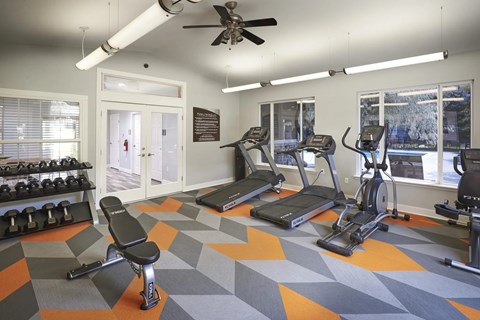 A gym with a variety of equipment including treadmills, elliptical machines, and dumbbells.