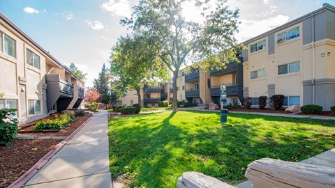 A sunny day in a residential area with apartment buildings and a tree in the foreground.