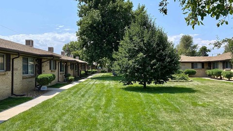 A tree in a grassy area in front of a building.