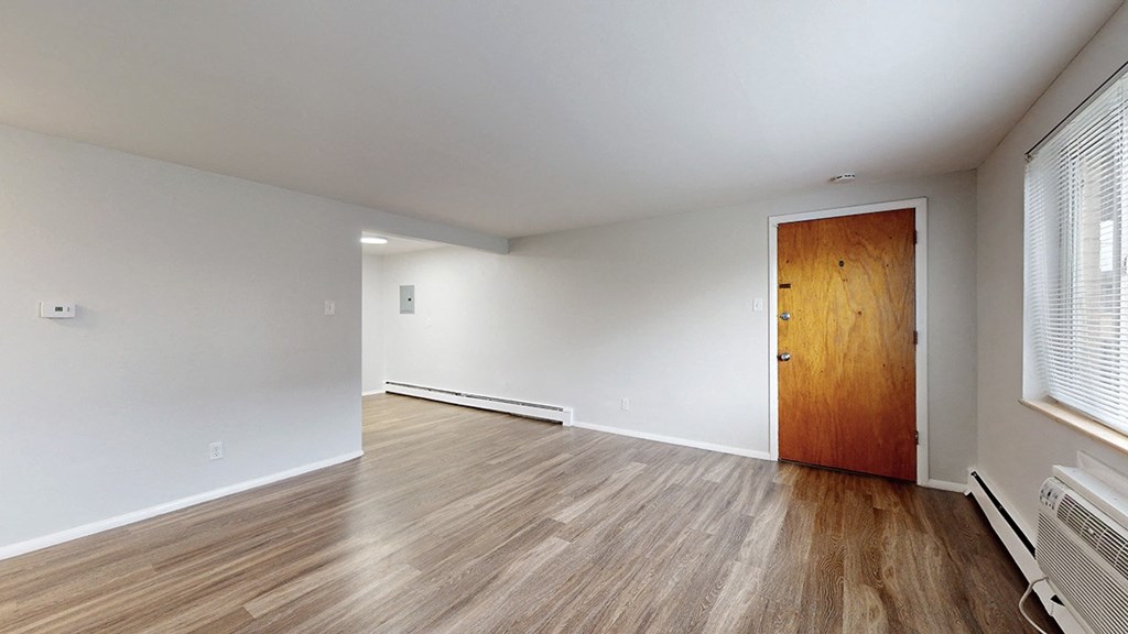 A room with a wooden floor and a brown door.