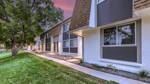 A modern apartment building with a tree in front.