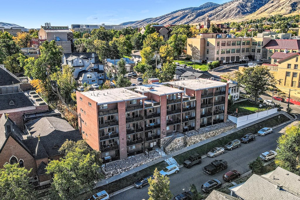 A view of a town with a large building in the middle.