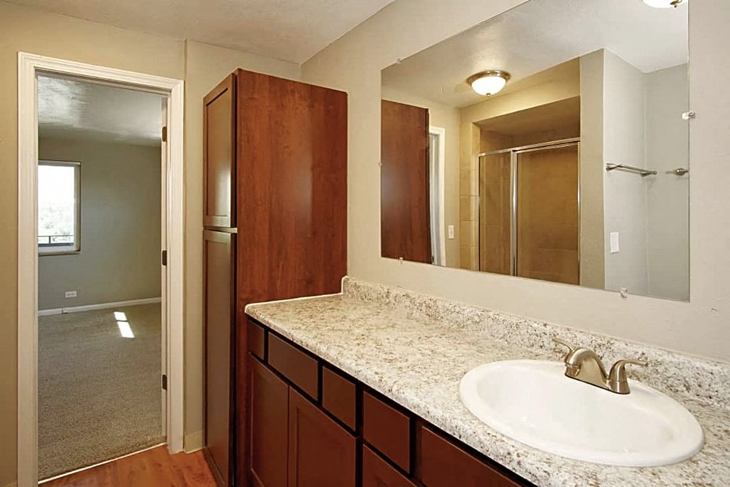 A bathroom with a sink, mirror, and wooden cabinets.