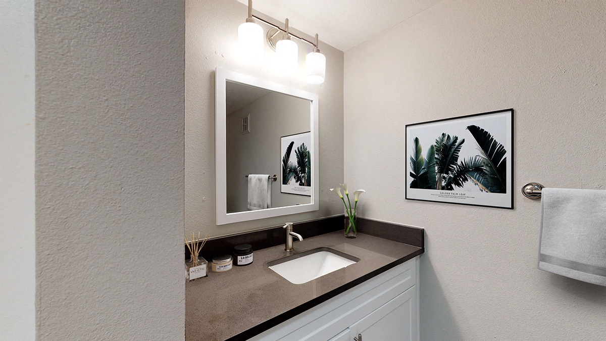 A bathroom with a sink, mirror, and a framed picture of a plant.