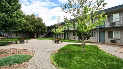 A courtyard with a tree and benches surrounded by apartment buildings.