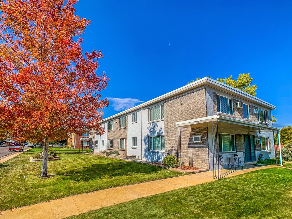 A tree with red leaves is in front of a building.