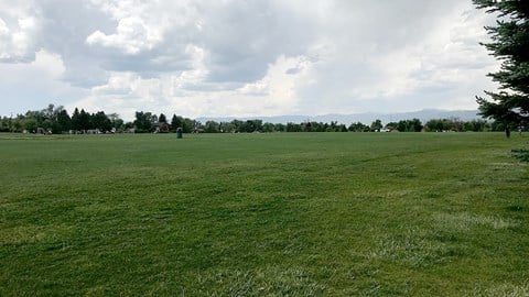 A large, open grassy field with a few scattered trees and a cloudy sky overhead.