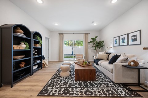 A black bookshelf with various items on it sits in a room with a large rug and a couch.