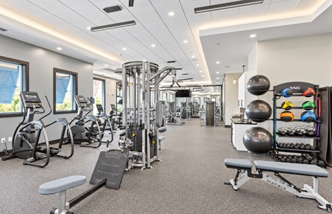 A well-equipped gym with a variety of exercise machines and equipment.