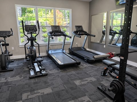 A gym with treadmills, elliptical machines, and weightlifting equipment.