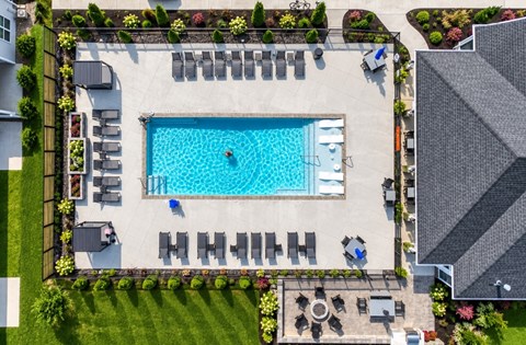 A swimming pool surrounded by lounge chairs and greenery.