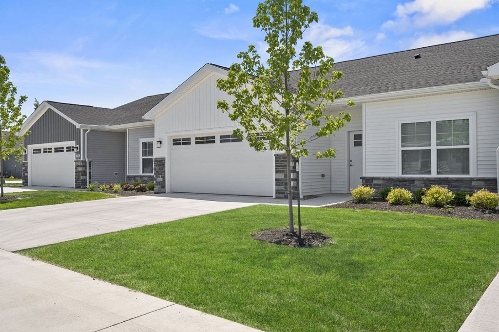 A tree stands in a grassy area in front of a house.