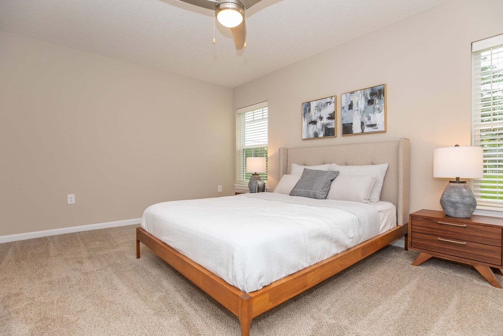 A bedroom with a large bed, a ceiling fan, and a nightstand with a lamp.