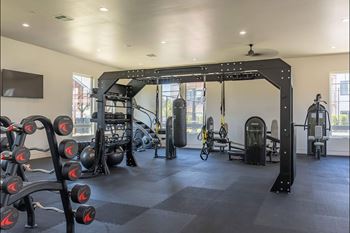 A gym with a variety of equipment including a squat rack, bench press, and a punching bag.