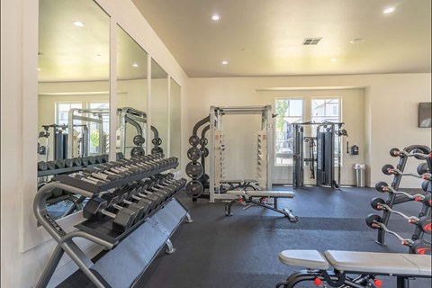 A well-equipped gym with mirrors on the wall at Northplace Apartment Homes, Salem