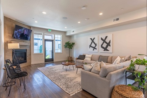 A living room with a grey couch, a television, and a rug at Timberridge Place Apartment Homes, Albany