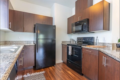 A kitchen with a black refrigerator and black oven.