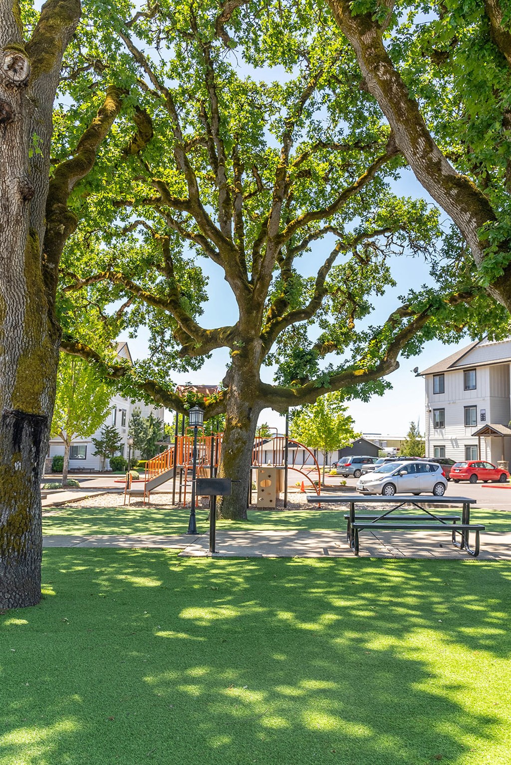 A park with a large tree and a bench at Riverplace Apartment Homes, Independence, 97351