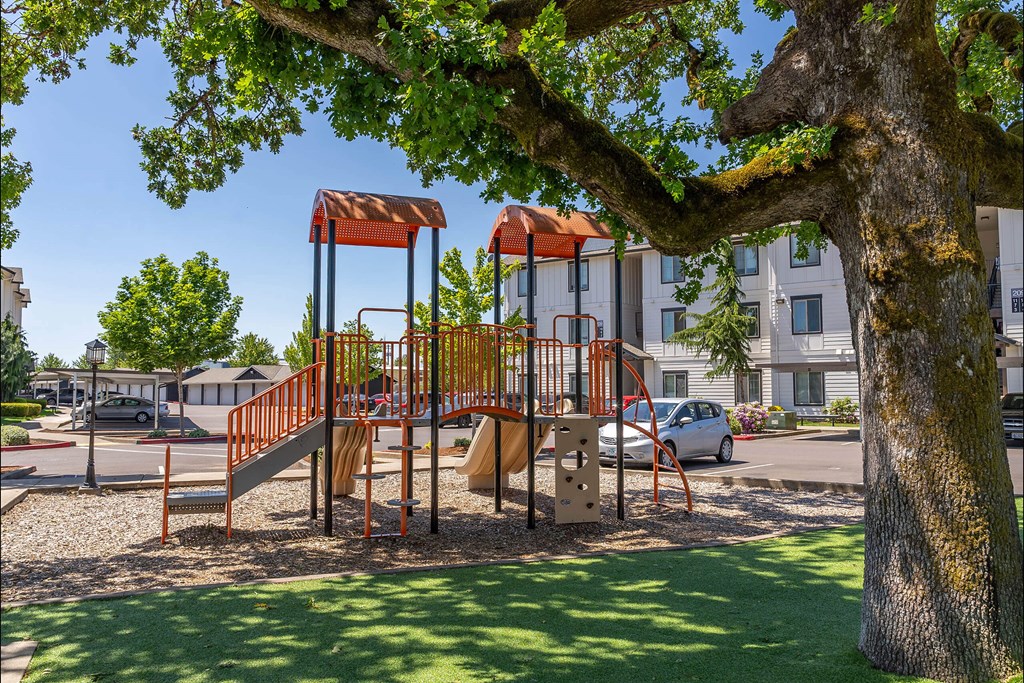 A playground with a slide and a tree in the foreground at Riverplace Apartment Homes, Oregon, 97351