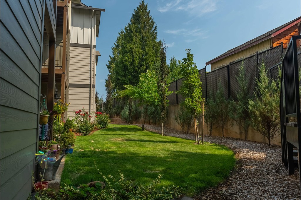 A backyard with a lawn, a pine tree, and a fence at Sandyplace Apartment Homes, Sandy