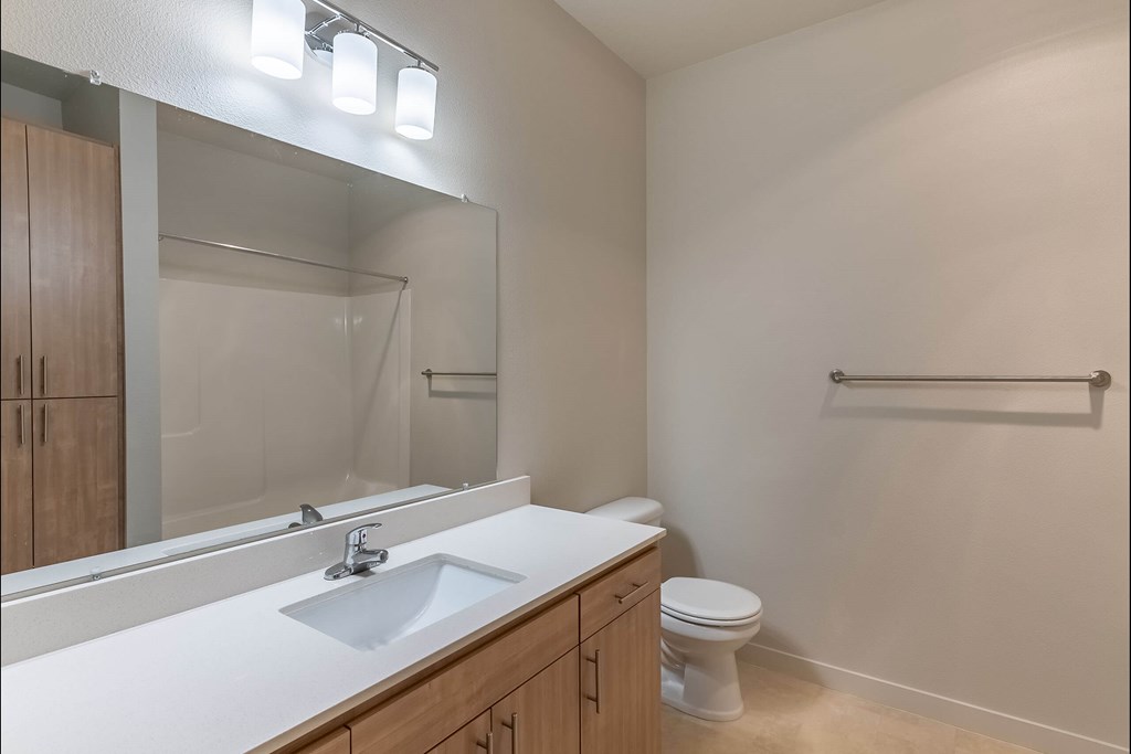 A bathroom with a sink, mirror, toilet and a towel bar at Sandyplace Apartment Homes, Sandy