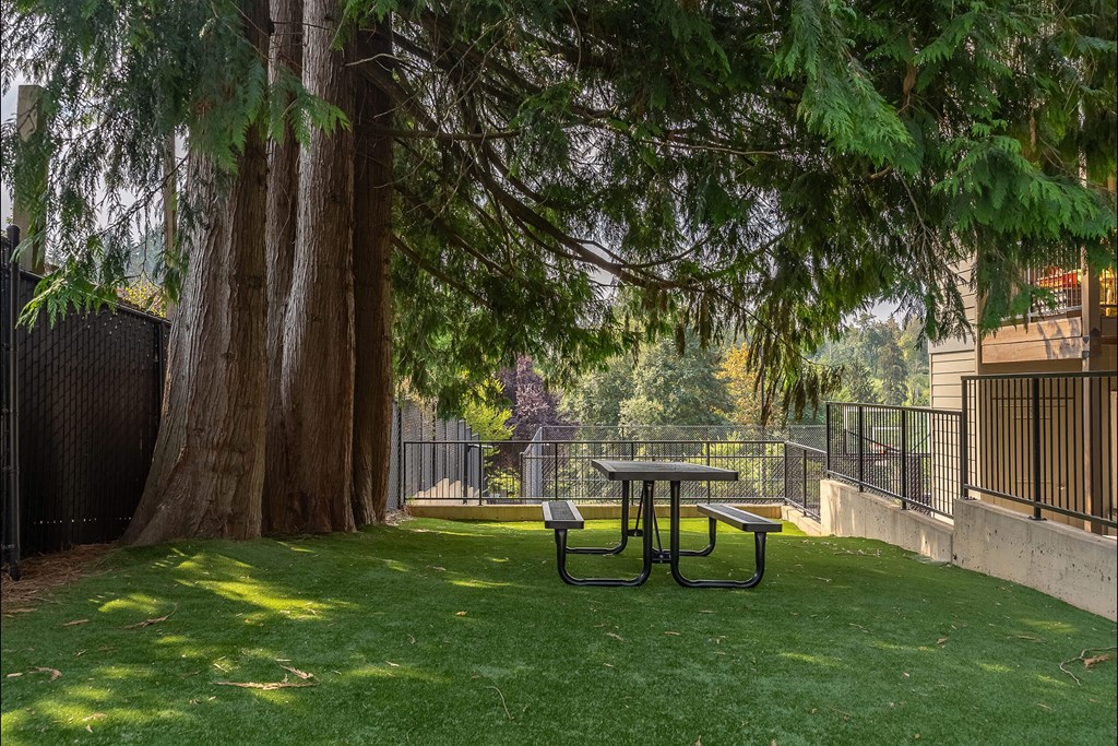 A picnic table sits in the middle of a grassy area at Sandyplace Apartment Homes, Sandy, OR