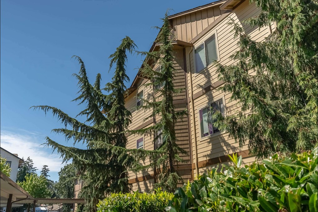 A building with a brown wooden exterior and a tree in front of it at Stoneplace Apartment Homes, Molalla, OR, 97038