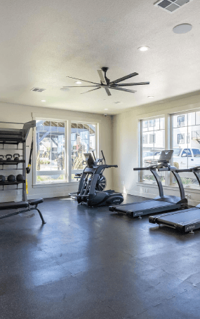 A spacious home gym with a treadmill, elliptical trainer, and a bench press.