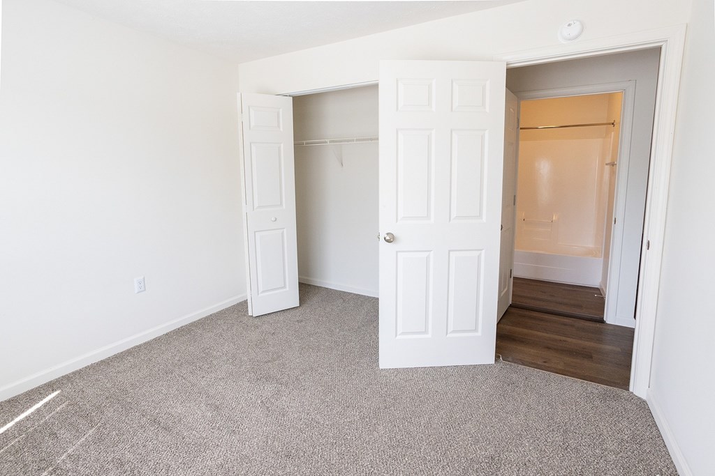 A room with a carpeted floor and two white doors.