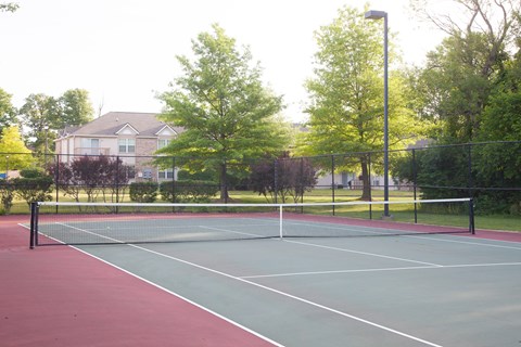 A tennis court with a net and trees in the background.