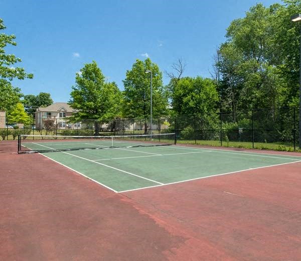 A tennis court surrounded by a fence and trees.