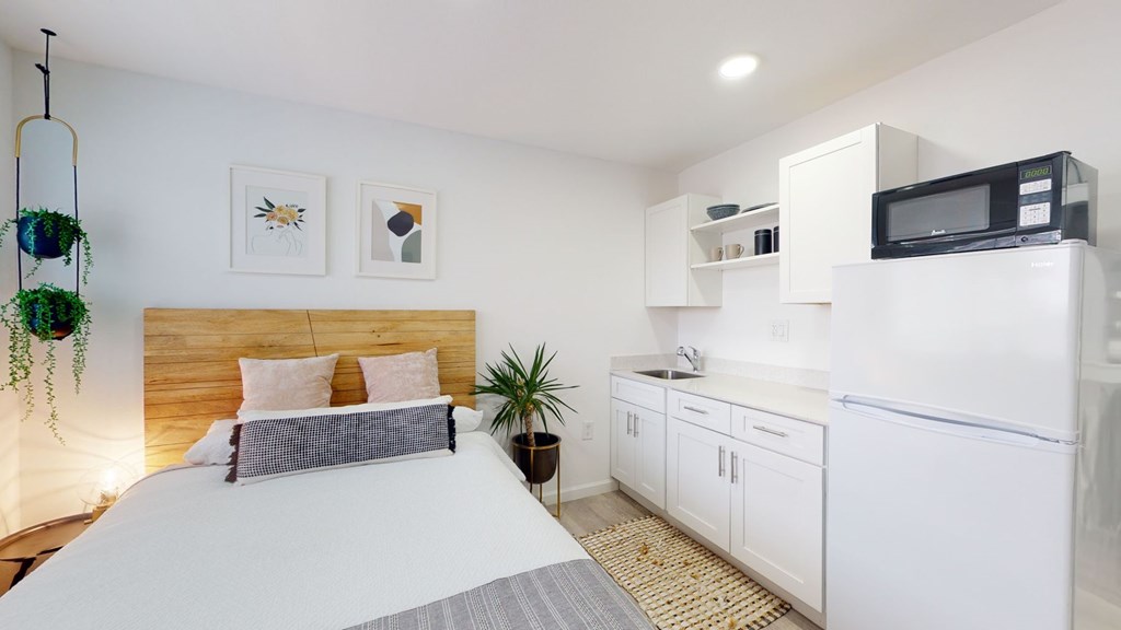 A bedroom with a bed, a hanging plant, and a kitchen area with a microwave on top of the fridge.