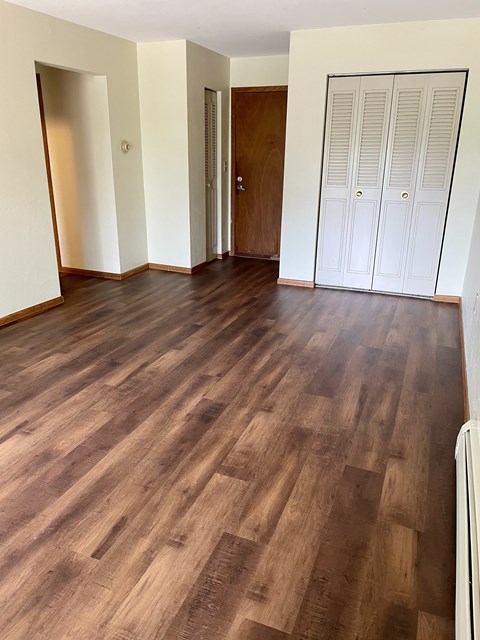 A room with wooden flooring and a white door.