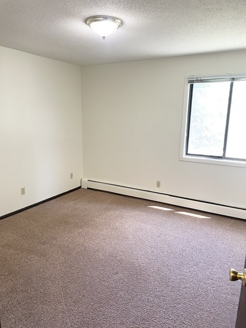 Large, well-lit bedrooms.