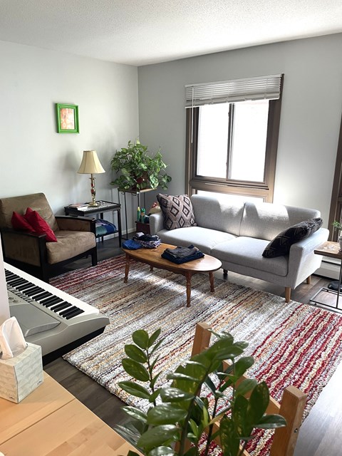 A living room with a piano, couches, and a rug.